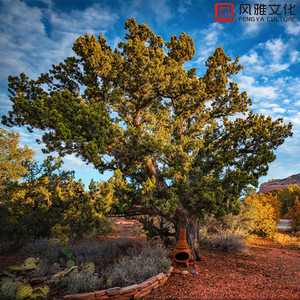 手机看片1024旧版
